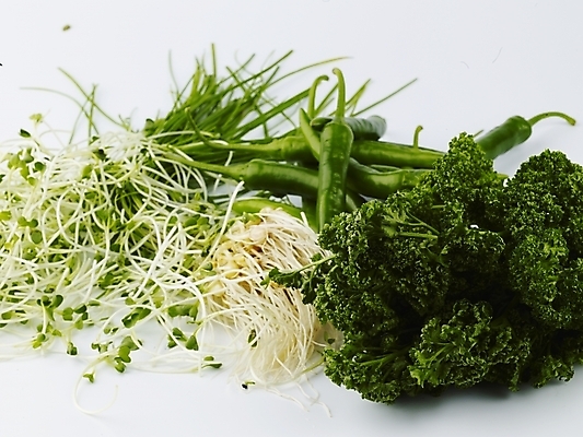 포토 JPG 스튜디오촬영 음식 채소 식재료 고추 실내 파슬리 사람없음 가로 초록색 농작물 신선 무순 달래 국내포토 컬러 농업 내부 새싹채소 파일형식