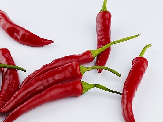 포토 JPG 스튜디오촬영 음식 컬러 채소 식재료 고추 실내 사람없음 가로 빨간색 농작물 신선 홍고추 국내포토 농업 내부 파일형식