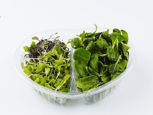 포토 JPG 스튜디오촬영 그릇 음식 채소 식재료 실내 누끼 근접촬영 사람없음 가로 초록색 샐러드 플라스틱 국내포토 식기 뷰포인트 컬러 재질 내부 파일형식