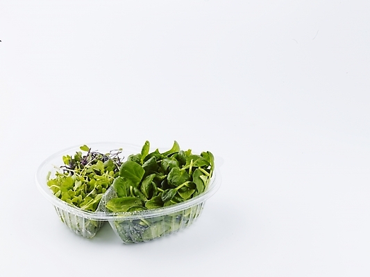 포토 JPG 스튜디오촬영 그릇 음식 채소 식재료 실내 누끼 근접촬영 사람없음 장식 가로 초록색 새싹 샐러드 플라스틱 새싹채소 국내포토 식물 식기 뷰포인트 컬러 재질 내부 파일형식