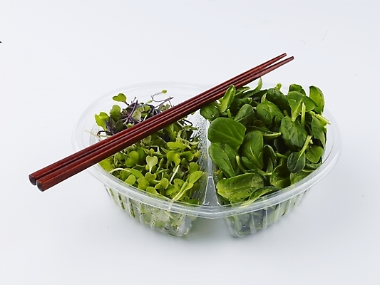 포토 JPG 스튜디오촬영 그릇 접시 음식 채소 식재료 젓가락 실내 누끼 근접촬영 사람없음 가로 초록색 샐러드 플라스틱 국내포토 식기 뷰포인트 컬러 재질 수저 내부 파일형식