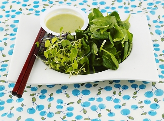 포토 JPG 스튜디오촬영 그릇 접시 음식 채소 젓가락 서양음식 실내 근접촬영 사람없음 가로 초록색 샐러드 식탁보 국내포토 식기 뷰포인트 컬러 수저 내부 파일형식