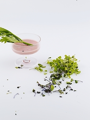 포토 JPG 스튜디오촬영 음식 채소 식재료 잔 실내 사람없음 장식 초록색 새싹 소스 쑥갓 새싹채소 어린잎 국내포토 식물 식기 컬러 잎 내부 양념 파일형식