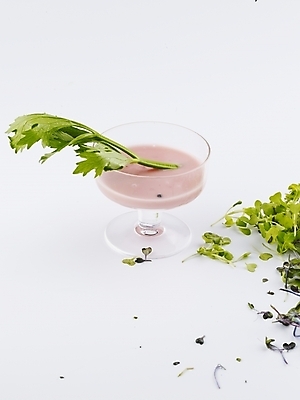 포토 JPG 스튜디오촬영 음식 채소 식재료 잔 실내 사람없음 장식 초록색 새싹 소스 쑥갓 새싹채소 어린잎 국내포토 식물 식기 컬러 잎 내부 양념 파일형식