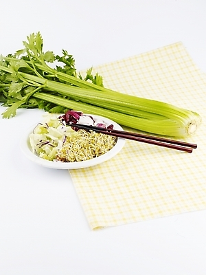 포토 JPG 스튜디오촬영 그릇 접시 웰빙 음식 채소 젓가락 서양음식 실내 사람없음 초록색 샐러드 식탁보 샐러리 웰빙음식 국내포토 식기 컬러 수저 내부 건강식 파일형식