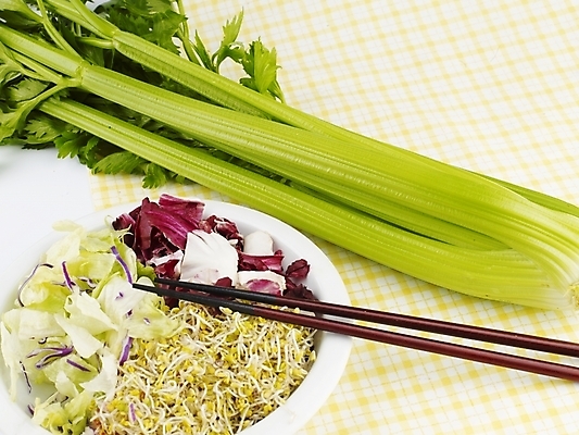 포토 JPG 스튜디오촬영 그릇 접시 웰빙 음식 채소 젓가락 서양음식 실내 근접촬영 사람없음 장식 가로 초록색 새싹 샐러드 식탁보 양상추 샐러리 웰빙음식 새싹채소 국내포토 식물 식기 뷰포인트 컬러 수저 내부 건강식 파일형식