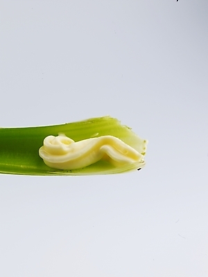 포토 JPG 스튜디오촬영 웰빙 음식 채소 식재료 실내 근접촬영 사람없음 초록색 농작물 샐러리 마요네즈 웰빙음식 국내포토 뷰포인트 컬러 농업 내부 소스_음식 건강식 파일형식