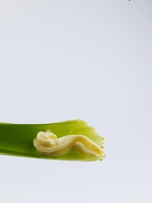 포토 JPG 스튜디오촬영 웰빙 음식 채소 식재료 실내 근접촬영 사람없음 초록색 농작물 샐러리 마요네즈 웰빙음식 국내포토 뷰포인트 컬러 농업 내부 소스_음식 건강식 파일형식