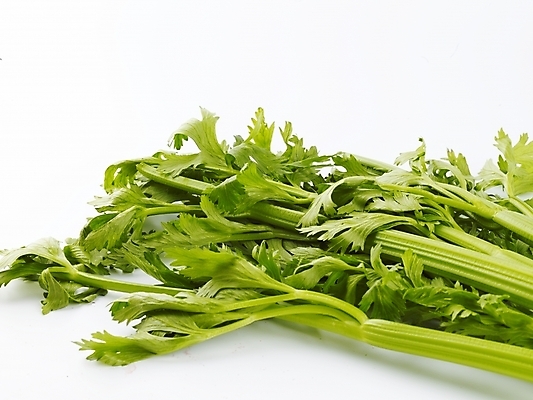 포토 JPG 스튜디오촬영 음식 채소 식재료 실내 근접촬영 사람없음 가로 초록색 농작물 신선 샐러리 국내포토 뷰포인트 컬러 농업 내부 파일형식