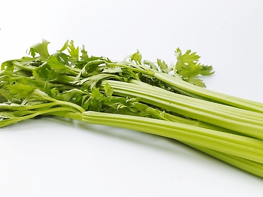 포토 JPG 스튜디오촬영 음식 채소 식재료 실내 근접촬영 사람없음 가로 초록색 농작물 신선 샐러리 국내포토 뷰포인트 컬러 농업 내부 파일형식