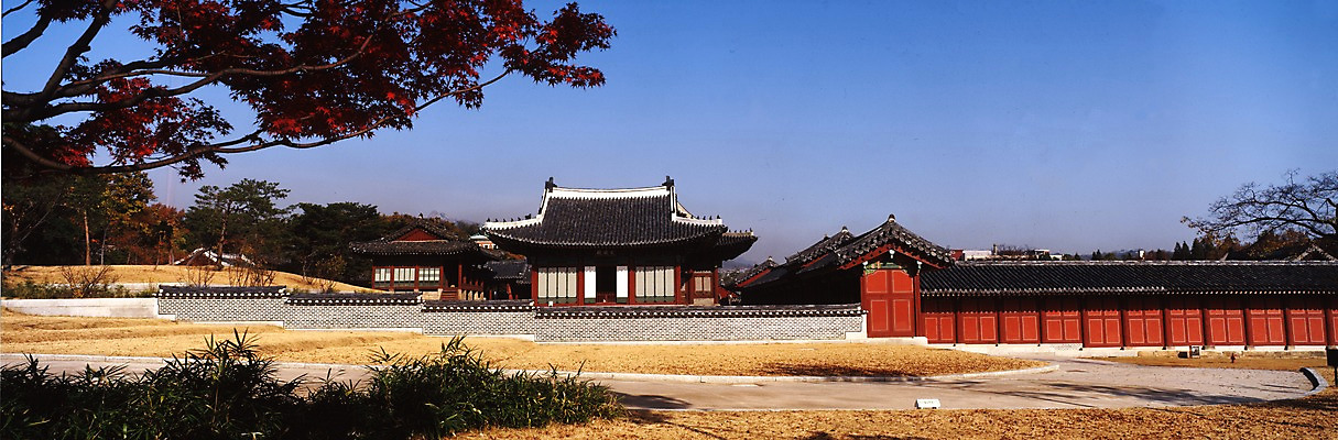 포토 JPG 주간 나무 식물 한국문화 한국전통 전통 시설물 건축 고건축 한국건축 서울 한국 파노라마 풍경 사람없음 야외 담장 동양건축 궁전 문화재 문정전 창경궁 국내포토 자연요소 동양문화 건축물 아시아 촬영기법 파일형식 동양