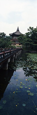 포토 JPG 주간 한국문화 한국전통 전통 시설물 건축 꽃 고건축 한국건축 서울 한국 파노라마 연꽃 풍경 사람없음 야외 동양건축 봄 궁전 문화재 연못 연잎 정자 경복궁 향원정 향원지 국내포토 자연요소 식물 동양문화 건축물 계절 아시아 잎 촬영기법 누각 파일형식 동양