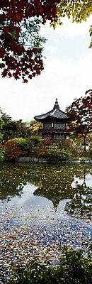 포토 JPG 주간 한국문화 한국전통 시설물 건축 고건축 한국건축 자연 서울 한국 파노라마 풍경 사람없음 야외 동양건축 궁전 문화재 연못 정자 경복궁 향원정 향원지 국내포토 자연요소 동양문화 전통 건축물 아시아 촬영기법 생태계 누각 파일형식 동양