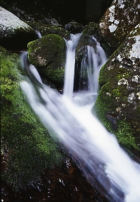 포토 JPG 주간 식물 이끼 풍경 사람없음 야외 물 계곡 폭포 국내포토 자연요소 자연 파일형식