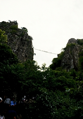 포토 JPG 주간 나무 식물 하늘 산 여러그루 풍경 사람없음 야외 절벽 출렁다리 국내포토 자연요소 다수 다리_건축물 파일형식