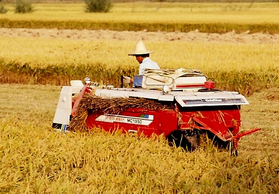 포토 JPG 주간 직업 남자 농업 곡류 논 한명 사람 20대 성인 야외 농사 기계 추수 벼 농촌 시골 중장비 농부 농기구 풍년 남자만 남자한명만 성인남자만 청년만 청년남자만 청년남자한명만 성인한명만 성인남자한명만 성인만 국내포토 자연요소 1 산업 청년 수확 산업장비 파일형식