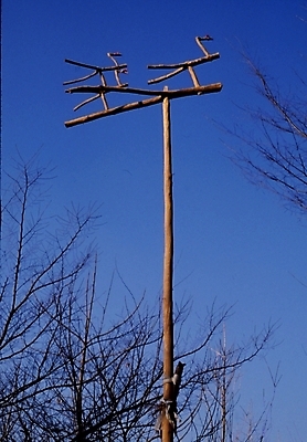 포토 JPG 주간 나무 식물 한국문화 한국전통 전통 종교용품 한국 사람없음 야외 나뭇가지 무속 무속신앙용품 솟대 국내포토 자연요소 동양문화 아시아 종교 파일형식