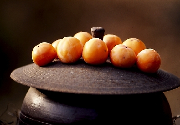 포토 JPG 주간 식물 한국전통 전통 음식 과일 감 풍경 사람없음 야외 뚜껑 농촌 시골 가마솥 솥뚜껑 국내포토 자연요소 한국 솥 파일형식