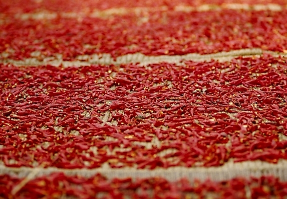 포토 JPG 주간 식물 음식 채소 식재료 고추 건조 사람없음 야외 빨간색 홍고추 국내포토 자연요소 컬러 파일형식