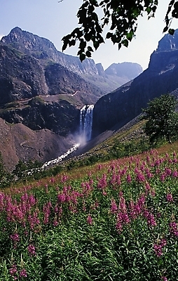 포토 JPG 주간 나무 식물 꽃 잎 꽃밭 자연 산 물줄기 풍경 사람없음 야외 물 폭포 백두산 비룡폭포 장백폭포 국내포토 자연요소 생태계 속초 파일형식