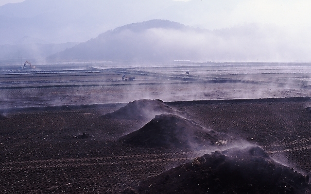 포토 JPG 주간 농업 논 풍경 사람없음 야외 안개 농촌 시골 연기 거름 두엄 국내포토 자연요소 산업 날씨 파일형식