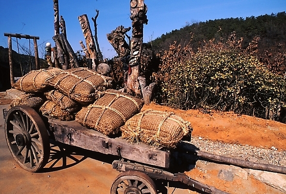 포토 JPG 주간 나무 한국문화 한국전통 전통 육상교통 한국 풍경 사람없음 야외 수레 무속 장승 쌀포대 국내포토 자연요소 식물 동양문화 아시아 교통수단 카트 파일형식