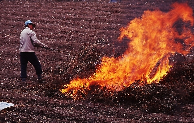 포토 JPG 주간 직업 남자 중년 50대 밭 농업 불 논 한명 사람 성인 야외 농촌 시골 농부 정월대보름 달집 달집태우기 불지르기 남자만 남자한명만 성인남자만 성인한명만 성인남자한명만 중년만 중년남자만 중년남자한명만 성인만 국내포토 자연요소 1 명절 산업 파일형식