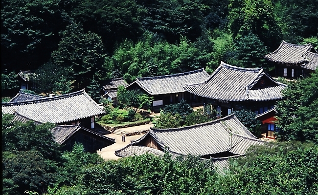 포토 JPG 주간 한국문화 한국전통 시설물 건축 종교 고건축 불교 한국건축 풍경 사람없음 야외 동양건축 문화재 극락보전 팔상전 국내포토 자연요소 동양문화 전통 건축물 한국 파일형식 동양