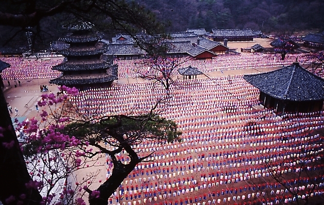 포토 JPG 주간 한국문화 한국전통 시설물 건축 종교 고건축 불교 한국건축 풍경 사람없음 야외 동양건축 문화재 불교용품 연등 법주사 국내포토 자연요소 동양문화 전통 건축물 종교용품 한국 등불 사찰 보은 파일형식 동양