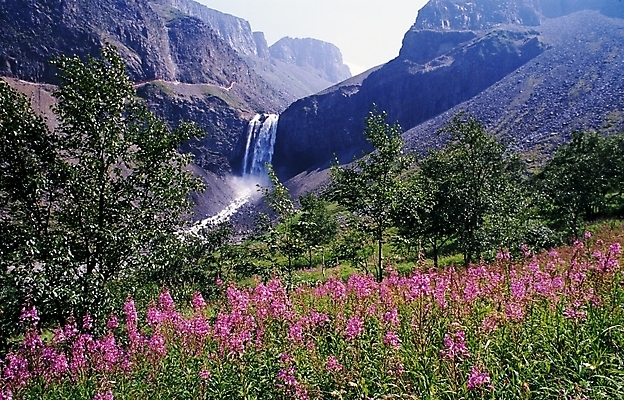 포토 JPG 주간 나무 식물 꽃 꽃밭 자연 산 물줄기 풍경 사람없음 야외 물 봄 폭포 백두산 비룡폭포 장백폭포 국내포토 자연요소 계절 생태계 속초 파일형식