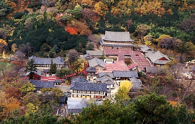 포토 JPG 주간 나무 식물 한국문화 한국전통 시설물 건축 종교 고건축 불교 한국건축 산 사람없음 야외 하이앵글 동양건축 문화재 숲 화엄사 국내포토 자연요소 동양문화 전통 건축물 뷰포인트 한국 구례 파일형식 동양