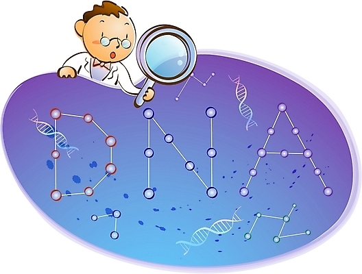 EPS 남자 산업 일러스트 비즈니스 돋보기 첨단산업 실험 한명 사람 20대 성인 관찰 DNA 생명공학 과학자 원자 e-라이프 생명과학 남자만 남자한명만 성인남자만 청년만 청년남자만 청년남자한명만 성인한명만 성인남자한명만 성인만 국내일러스트 직업 1 라이프스타일 과학 의학 모션 청년 학자 파일형식 벡터