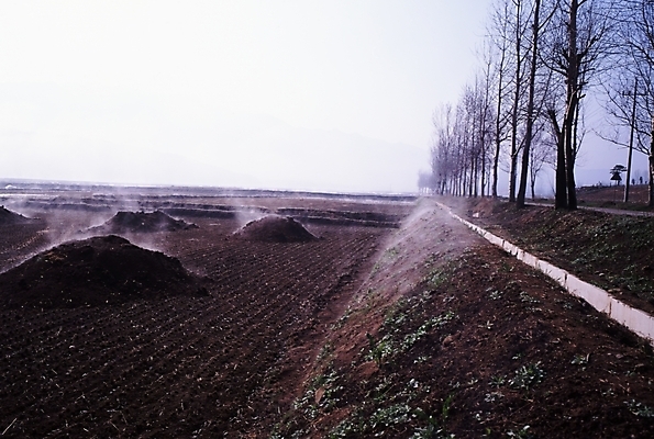 포토 JPG 주간 나무 농업 하늘 논 풍경 사람없음 야외 농경지 농촌 시골 거름 두엄 국내포토 자연요소 식물 산업 농장 파일형식