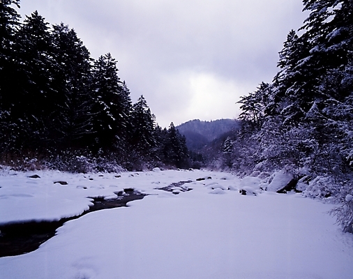 포토 JPG 주간 나무 식물 사계절 계절 설경 겨울 자연 하늘 산 여러그루 풍경 사람없음 야외 계곡 눈 개울 숲 국내포토 자연요소 다수 날씨 강 생태계 파일형식