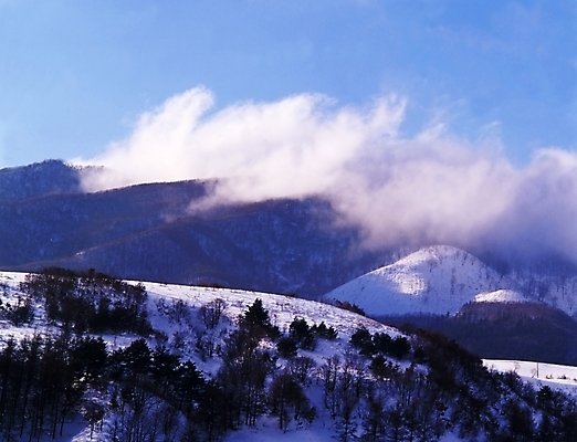 포토 JPG 주간 나무 식물 구름 사계절 계절 설경 겨울 자연 하늘 산 여러그루 풍경 사람없음 야외 눈 숲 언덕 국내포토 자연요소 다수 날씨 생태계 파일형식