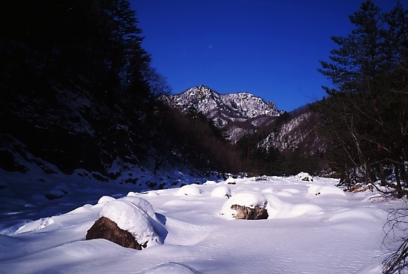 포토 JPG 주간 나무 식물 사계절 계절 설경 겨울 자연 하늘 산 여러그루 풍경 사람없음 야외 설원 돌_바위 바위 눈 숲 국내포토 자연요소 다수 날씨 눈_날씨 생태계 파일형식