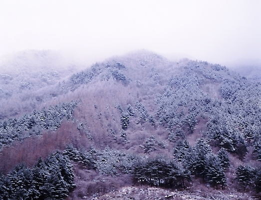 포토 JPG 주간 식물 사계절 계절 설경 겨울 자연 산 풍경 사람없음 야외 눈 숲 국내포토 자연요소 날씨 생태계 파일형식