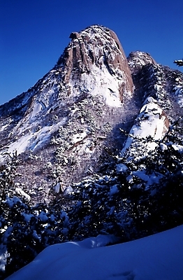 포토 JPG 주간 나무 식물 사계절 계절 설경 겨울 자연 산 풍경 사람없음 야외 절벽 돌_바위 바위 눈 암벽 국내포토 자연요소 날씨 생태계 파일형식