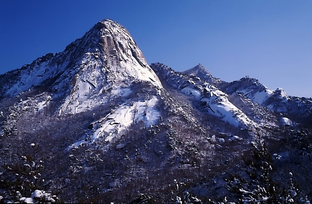 포토 JPG 주간 나무 식물 사계절 계절 설경 겨울 자연 하늘 산 풍경 사람없음 야외 절벽 돌_바위 바위 눈 암벽 국내포토 자연요소 날씨 생태계 파일형식