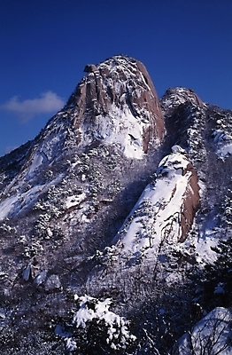 포토 JPG 주간 식물 사계절 계절 설경 겨울 자연 바위산 산 풍경 사람없음 야외 절벽 돌_바위 바위 눈 암벽 국내포토 자연요소 날씨 돌산 생태계 파일형식