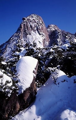 포토 JPG 주간 식물 사계절 계절 설경 겨울 자연 산 풍경 사람없음 야외 절벽 돌_바위 바위 눈 암벽 국내포토 자연요소 날씨 생태계 파일형식