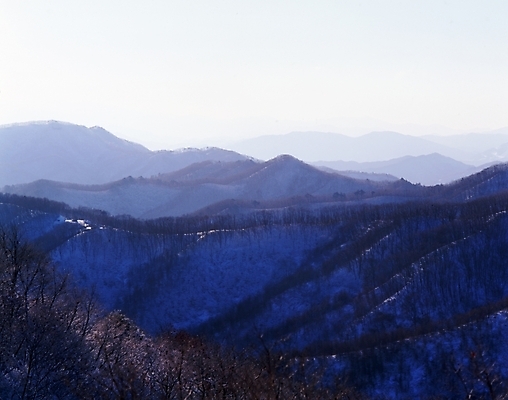 포토 JPG 주간 나무 식물 사계절 계절 설경 겨울 자연 하늘 산 풍경 사람없음 야외 눈 정상 숲 국내포토 자연요소 날씨 생태계 파일형식
