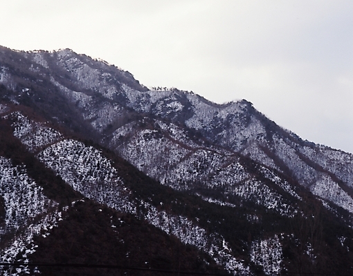 포토 JPG 주간 나무 식물 사계절 계절 설경 겨울 자연 하늘 산 풍경 사람없음 야외 눈 숲 국내포토 자연요소 날씨 생태계 파일형식