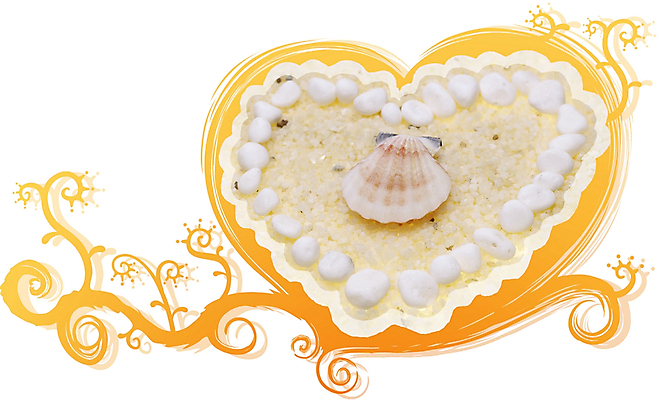 PSD 편집이미지 문양 백그라운드 무늬 패턴 조개 식물문양 사람없음 돌_바위 하트 디지털합성 오브젝트 이미지편집 모양 식물 어패류 파일형식