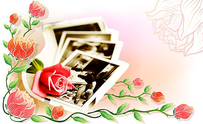 PSD 식물 편집이미지 꽃 백그라운드 꽃무늬 사람없음 장미 디지털합성 기념사진 이미지편집 무늬 파일형식