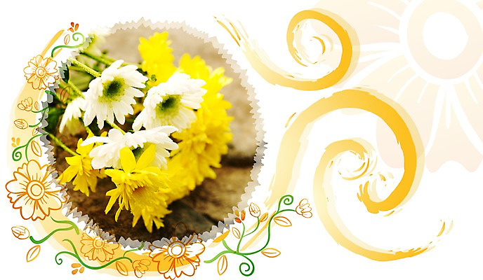 PSD 식물 편집이미지 꽃 여러송이 백그라운드 꽃무늬 자연 국화 가을꽃 사람없음 디지털합성 이미지편집 다수 무늬 생태계 파일형식 가을_계절