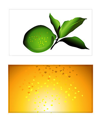 식물 템플릿 배너템플릿 과일 명함 명함템플릿 미니배너 레몬 이미지템플릿 배너 미니