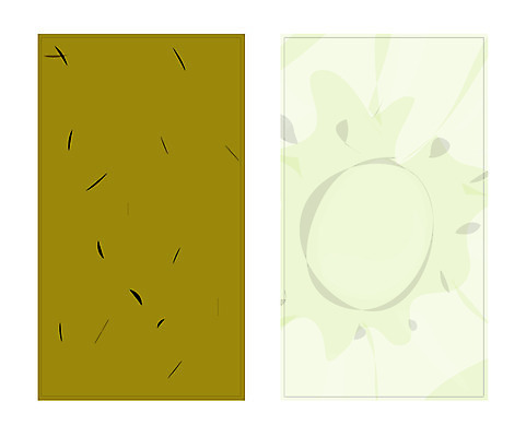 식물 템플릿 배너템플릿 과일 명함 명함템플릿 미니배너 키위 키위껍질 키위씨 이미지템플릿 배너 씨앗 껍질 미니