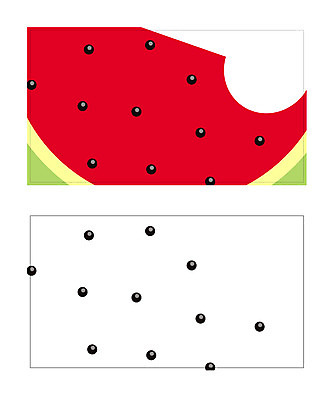 식물 템플릿 배너템플릿 과일 명함 명함템플릿 미니배너 수박 수박씨 수박껍질 이미지템플릿 배너 씨앗 껍질 미니
