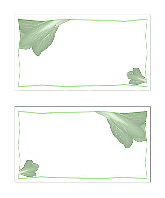 템플릿 배너템플릿 음식 채소 식재료 명함 명함템플릿 미니배너 청경채 이미지템플릿 배너 미니